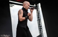 ID:6204